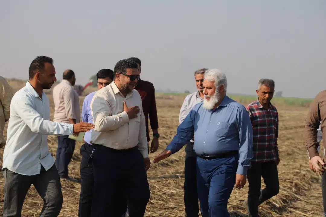 تصویر واتساپ 1403-07-24 در 23.37.13_e840cedf