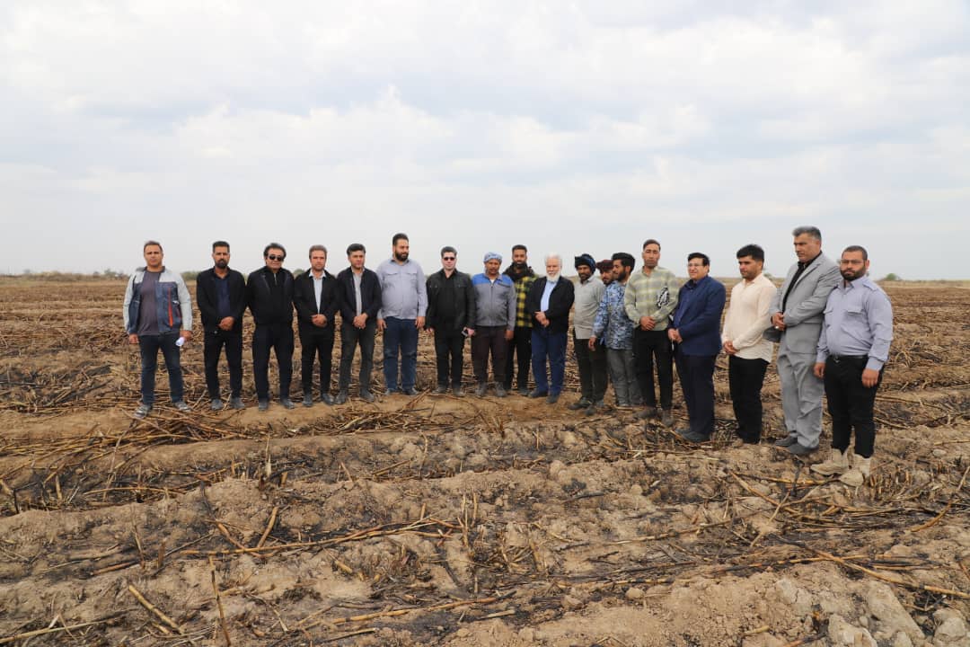 WhatsApp Image 2025-03-21 at 11.43.37_49270ec8