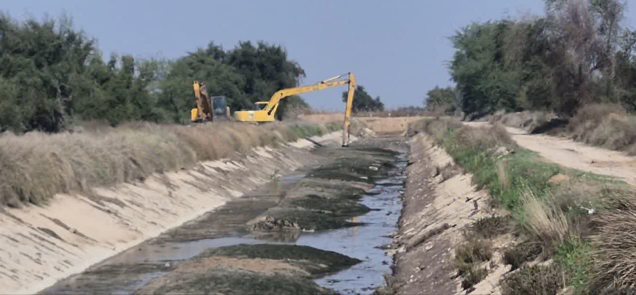 photo_2026-02-13_23-23-03