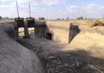 IMG-20250713-WA0008
